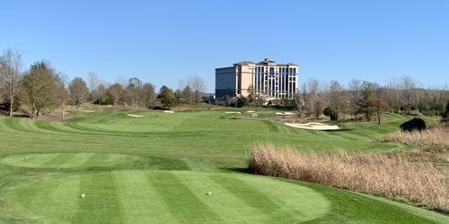 Belterra Golf Club